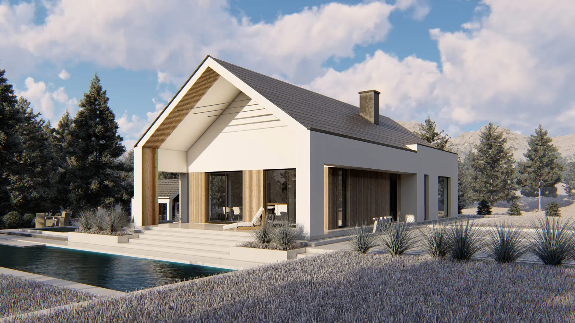 Nowoczesny FDPL-Z465 - widok z przodu